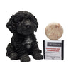 Nourishing Dog Shampoo Bar - CRITERION